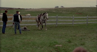2002_-_Virginias_Run_mp41446.jpg