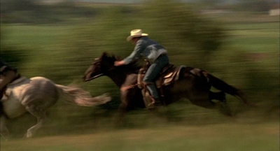 2002_-_Virginias_Run_mp43873.jpg
