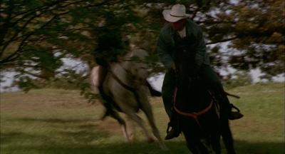 2002_-_Virginias_Run_mp43888.jpg