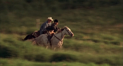 2002_-_Virginias_Run_mp43914.jpg