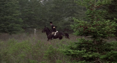 2002_-_Virginias_Run_mp45470.jpg