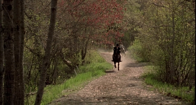 2002_-_Virginias_Run_mp45574.jpg