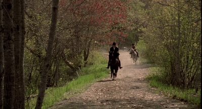 2002_-_Virginias_Run_mp45575.jpg