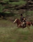 2002_-_Virginias_Run_mp40657.jpg