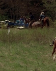 2002_-_Virginias_Run_mp40662.jpg