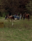 2002_-_Virginias_Run_mp40663.jpg