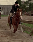 2002_-_Virginias_Run_mp40720.jpg