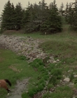 2002_-_Virginias_Run_mp40746.jpg