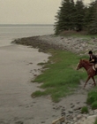 2002_-_Virginias_Run_mp40749.jpg