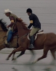 2002_-_Virginias_Run_mp40757.jpg