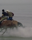2002_-_Virginias_Run_mp40760.jpg
