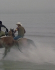 2002_-_Virginias_Run_mp40761.jpg