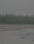 2002_-_Virginias_Run_mp40775.jpg