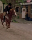2002_-_Virginias_Run_mp40800.jpg