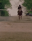 2002_-_Virginias_Run_mp40807.jpg