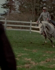 2002_-_Virginias_Run_mp41431.jpg