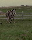 2002_-_Virginias_Run_mp41446.jpg