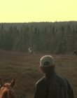 2002_-_Virginias_Run_mp43790.jpg