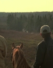 2002_-_Virginias_Run_mp43791.jpg
