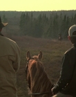2002_-_Virginias_Run_mp43792.jpg