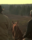 2002_-_Virginias_Run_mp43793.jpg