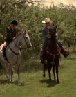 2002_-_Virginias_Run_mp43824.jpg