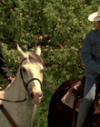 2002_-_Virginias_Run_mp43827.jpg