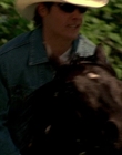 2002_-_Virginias_Run_mp43866.jpg