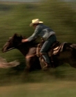 2002_-_Virginias_Run_mp43873.jpg