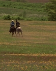 2002_-_Virginias_Run_mp43876.jpg