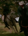 2002_-_Virginias_Run_mp43888.jpg