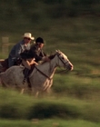 2002_-_Virginias_Run_mp43914.jpg