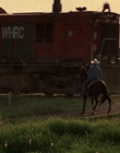 2002_-_Virginias_Run_mp43921.jpg