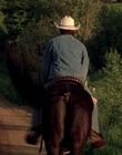2002_-_Virginias_Run_mp43943.jpg