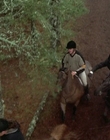 2002_-_Virginias_Run_mp44764.jpg