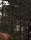 2002_-_Virginias_Run_mp44774.jpg