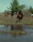 2002_-_Virginias_Run_mp44818.jpg