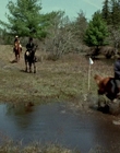 2002_-_Virginias_Run_mp44819.jpg