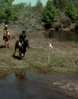 2002_-_Virginias_Run_mp44820.jpg