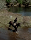 2002_-_Virginias_Run_mp44821.jpg