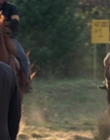 2002_-_Virginias_Run_mp44881.jpg