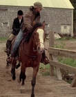 2002_-_Virginias_Run_mp45010.jpg