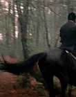 2002_-_Virginias_Run_mp45226.jpg