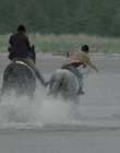 2002_-_Virginias_Run_mp45333.jpg