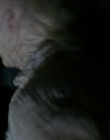 Filename=2003_-_Fear_of_the_Dark_avi4600.jpg
Filesize=285KiB
Dimensions=1440x832
Date added=Dec 29, 2023 2003_-_Fear_of_the_Dark_avi4600.jpg