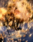 2003_-_Fear_of_the_Dark_avi4721.jpg