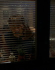 Filename=fotd04_287829.jpg
Filesize=55KiB
Dimensions=720x405
Date added=Dec 29, 2023 fotd04_287829.jpg