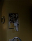 Filename=fotd04_289229.jpg
Filesize=45KiB
Dimensions=720x405
Date added=Dec 29, 2023 fotd04_289229.jpg