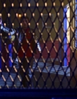 Smallville_S03E07_mp44528.jpg