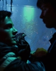 Filename=Smallville_S03E07_mp44673.jpg
Filesize=797KiB
Dimensions=1920x1080
Date added=Dec 29, 2023 Smallville_S03E07_mp44673.jpg